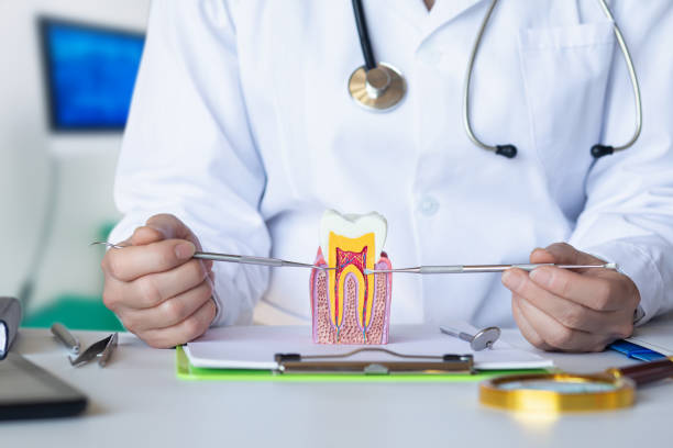 Best Emergency Dental Care for Sports Injuries in Spring Grove, PA